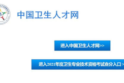中国卫生人才网 入口官网,一站式卫生人才服务平台概览